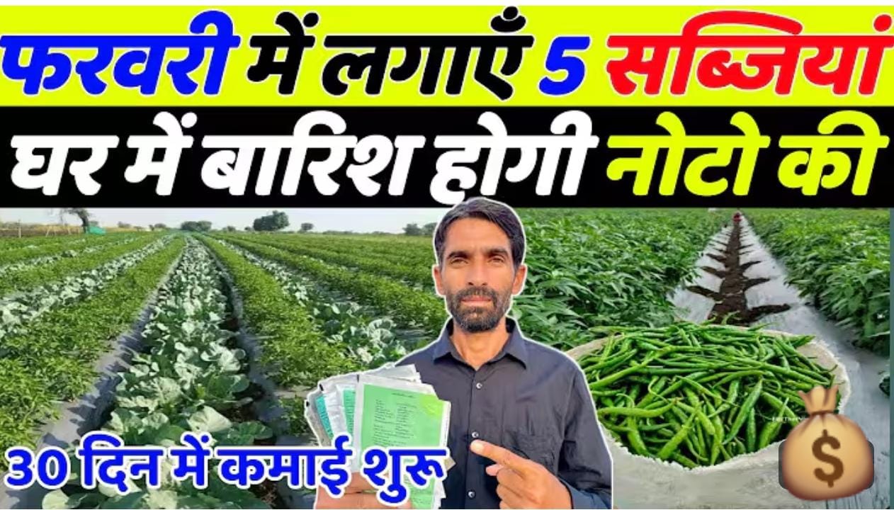 फरवरी में लगाएँ